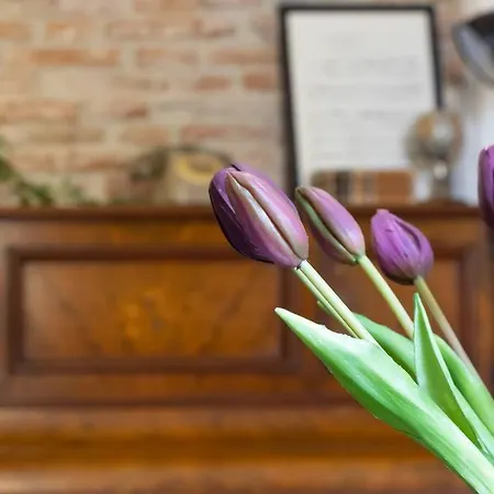 50 Metri Duomo Di Self Check-in E Wi-fi