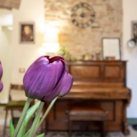 50 Metri Duomo Di Self Check-in E Wi-fi Λούκα